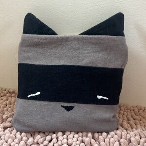 Elliefunday Lewis, the raccoon baby travel blanket